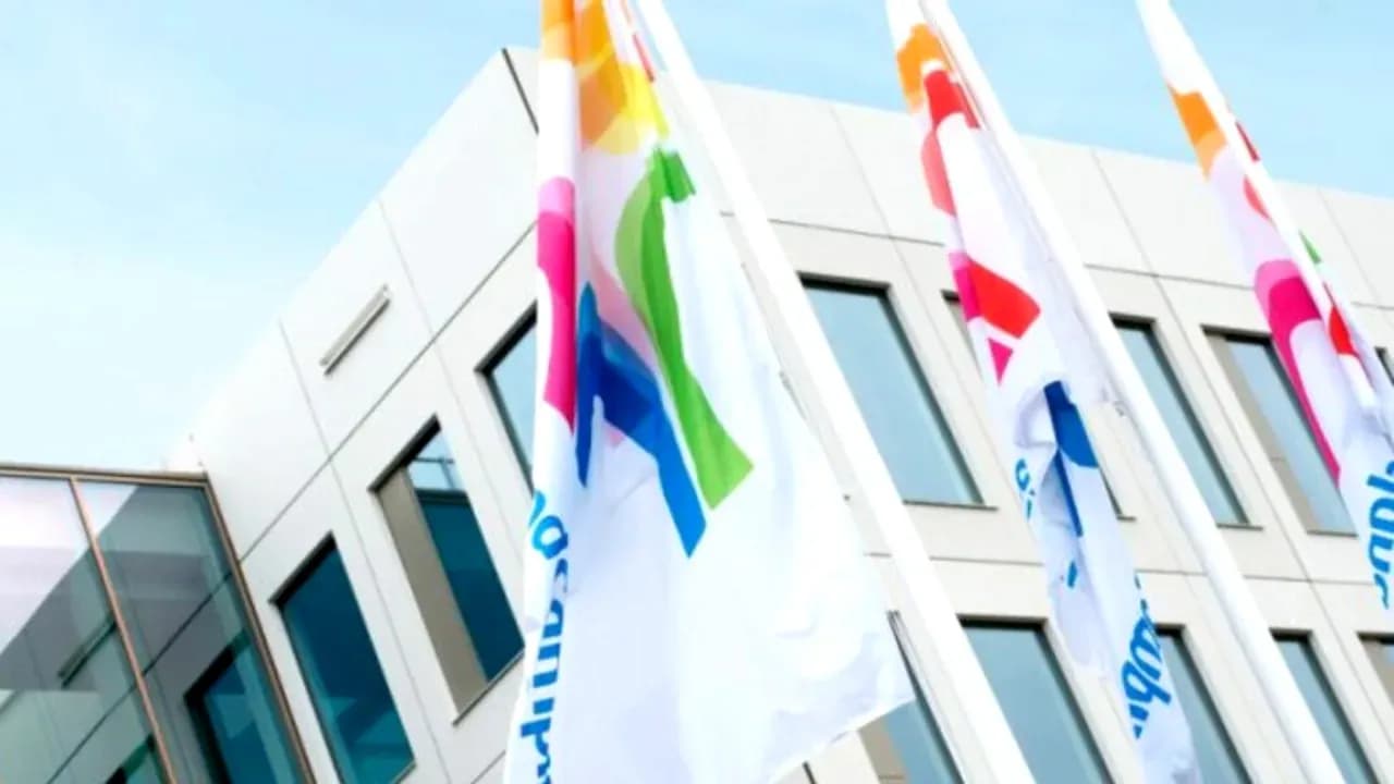 Logo-uri și steaguri ale FrieslandCampina, simbolizând preluarea Napolact de către Bonafarm.