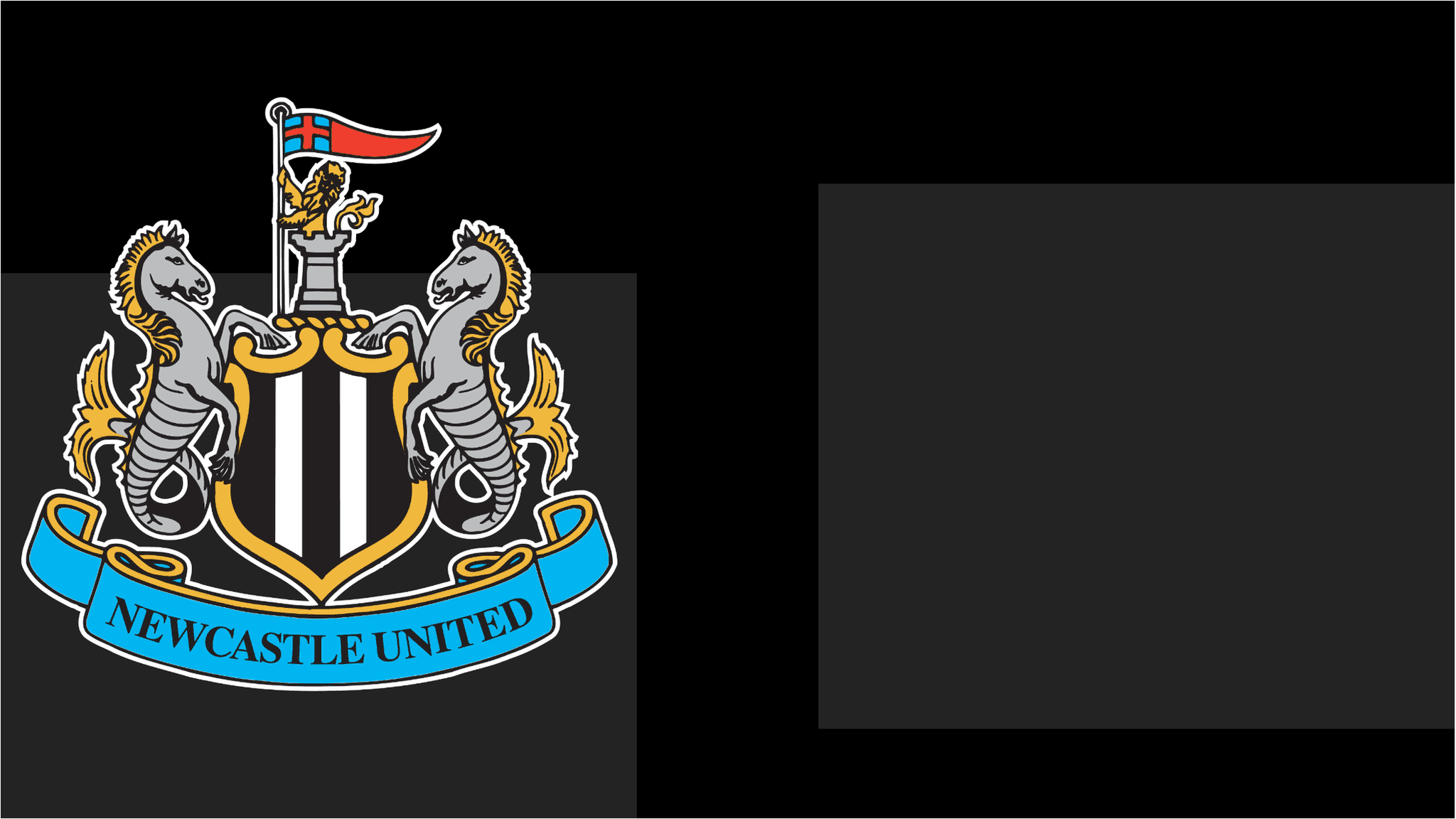 Newcastle United club crest, symbolizing the club's identity amidst a challenging transfer window.