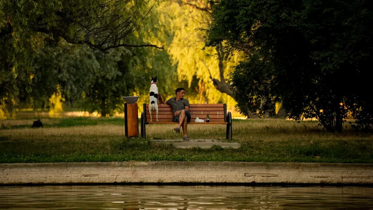 O hartă cu prognoza meteo indicând zonele afectate de caniculă și precipitații deficitare în România.