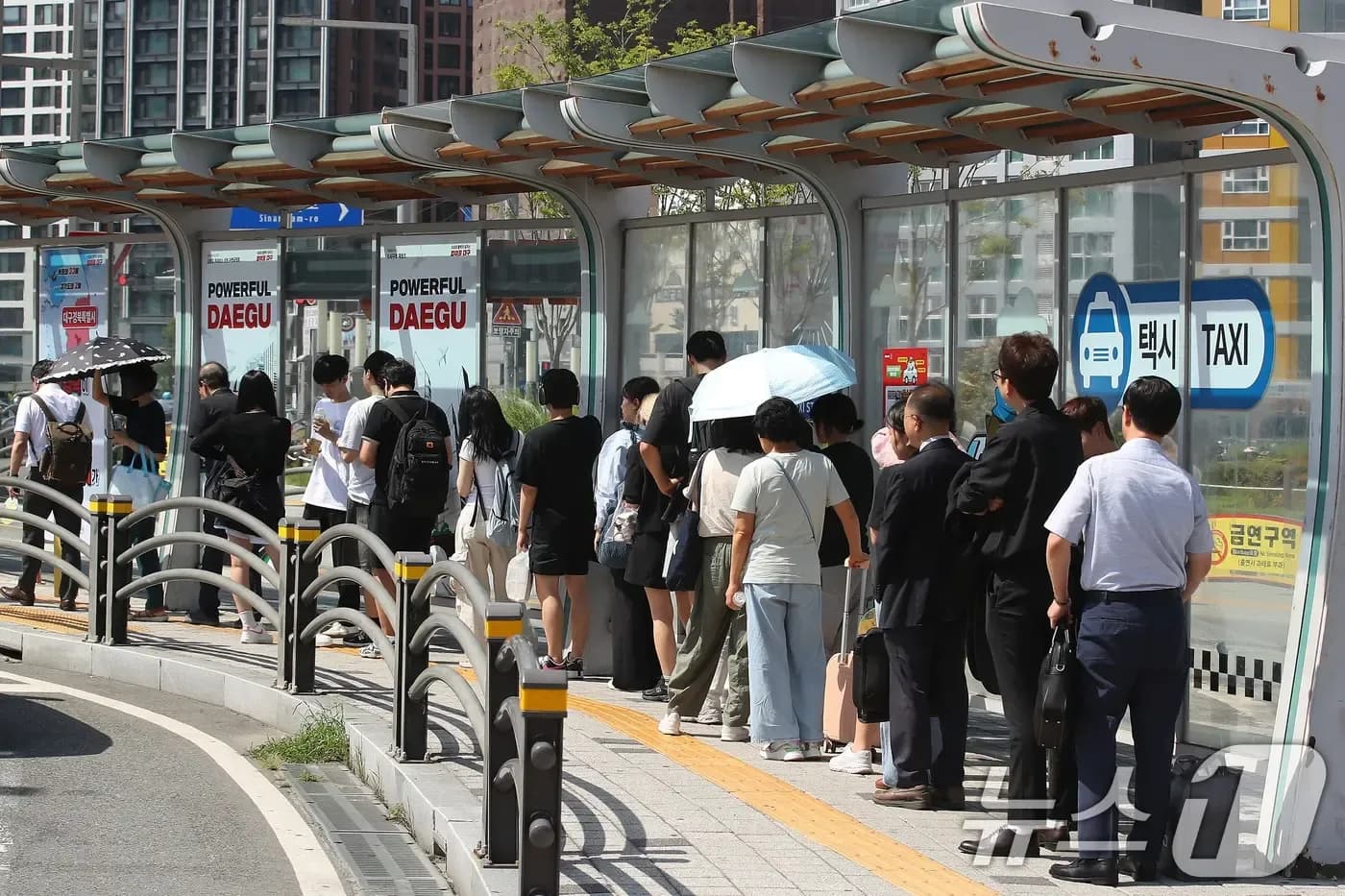 People queueing at a taxi stand in Daegu under intense summer sun, with some using umbrellas for shade, illustrating how weather influences daily life and urban adaptation.