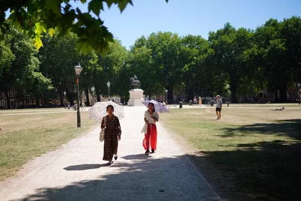 People seeking shade in a Bristol park during a UK heatwave, illustrating late summer implications
