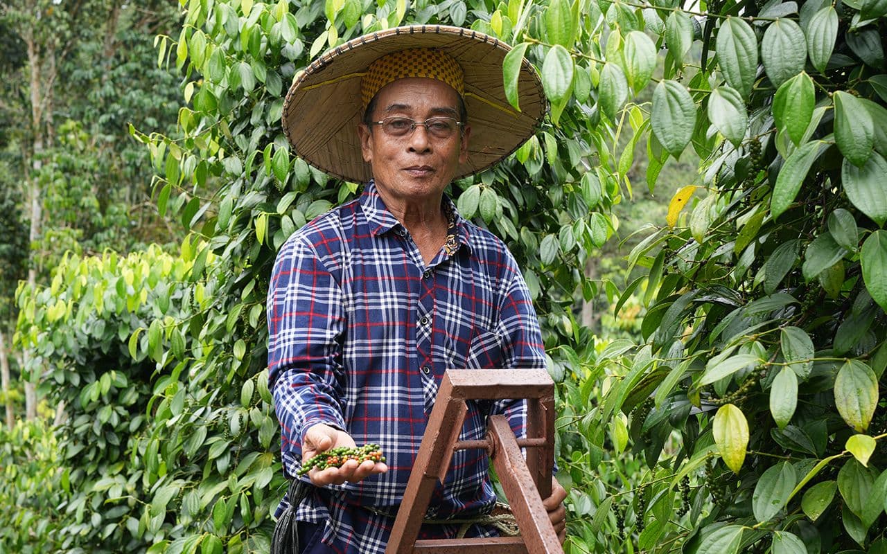Pepper grower Segan Anak Jubin at his farm in Julau, Sarawak.