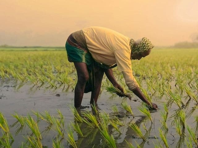 PM Kisan scheme graphic announcing the 20th installment and guiding farmers on how to check their beneficiary list.