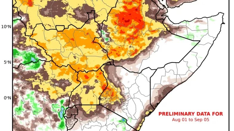 Precipitation anomaly map for East Africa in mid-2026.