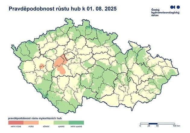 Prediktivní mapa pravděpodobnosti růstu hub od ČHMÚ, zobrazující zelené zóny pro cílené houbaření.
