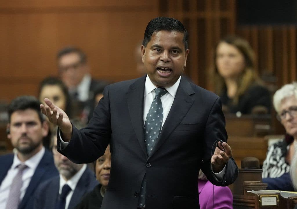 Public Safety Minister Gary Anandasangaree speaking and gesturing in the House of Commons.