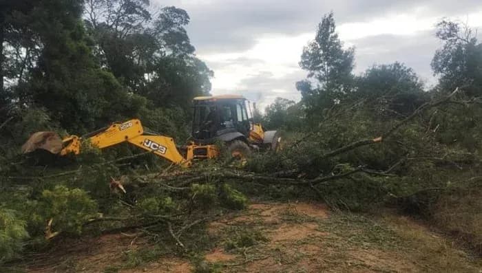 Retroescavadeira removendo árvores caídas após temporal em Rio Grande do Sul.