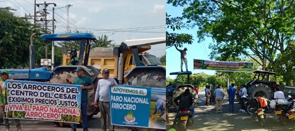Riziculteurs colombiens manifestant avec des tracteurs et des banderoles pour des prix équitables lors du paro arrocero.