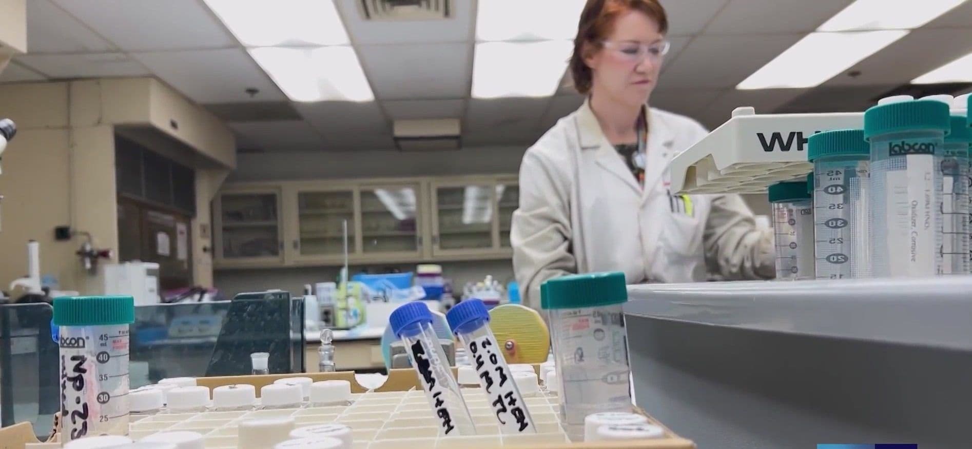 Scientist working in a laboratory, symbolizing innovation and future solutions for environmental challenges