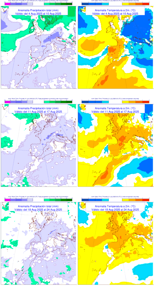 Series of maps showing temperature and precipitation anomalies across Spain for multiple weeks in August, indicating sustained warmer than normal conditions.
