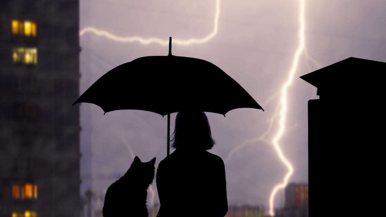 Silhouette d'une personne et d'un chat sous un parapluie, avec des éclairs illuminant le ciel orageux au-dessus des bâtiments.