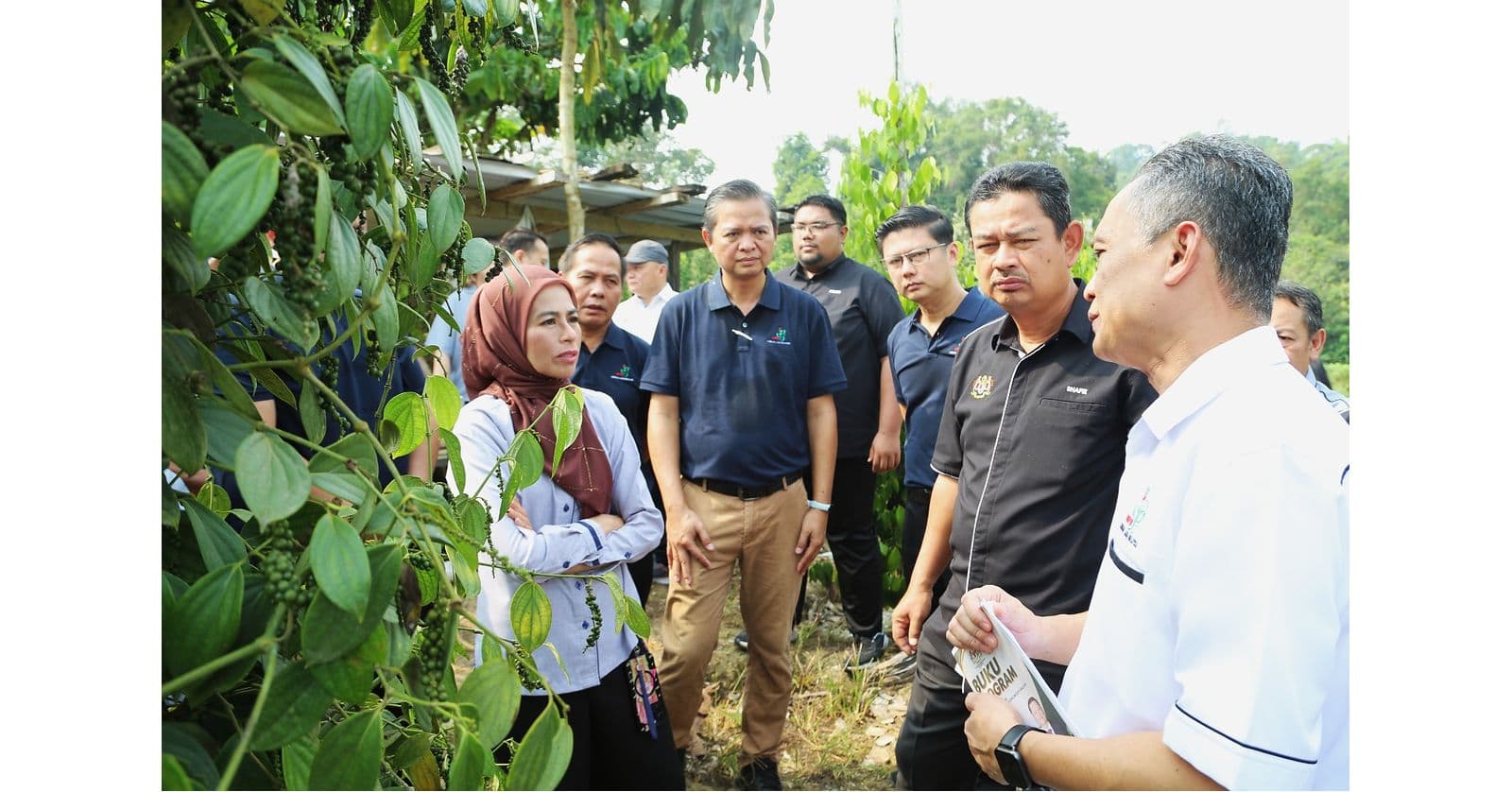 Stakeholders discussing pepper cultivation during a field visit.