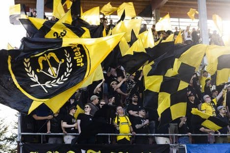 Supporters du KuPS agitant des drapeaux noirs et jaunes, symbolisant l'esprit du club.