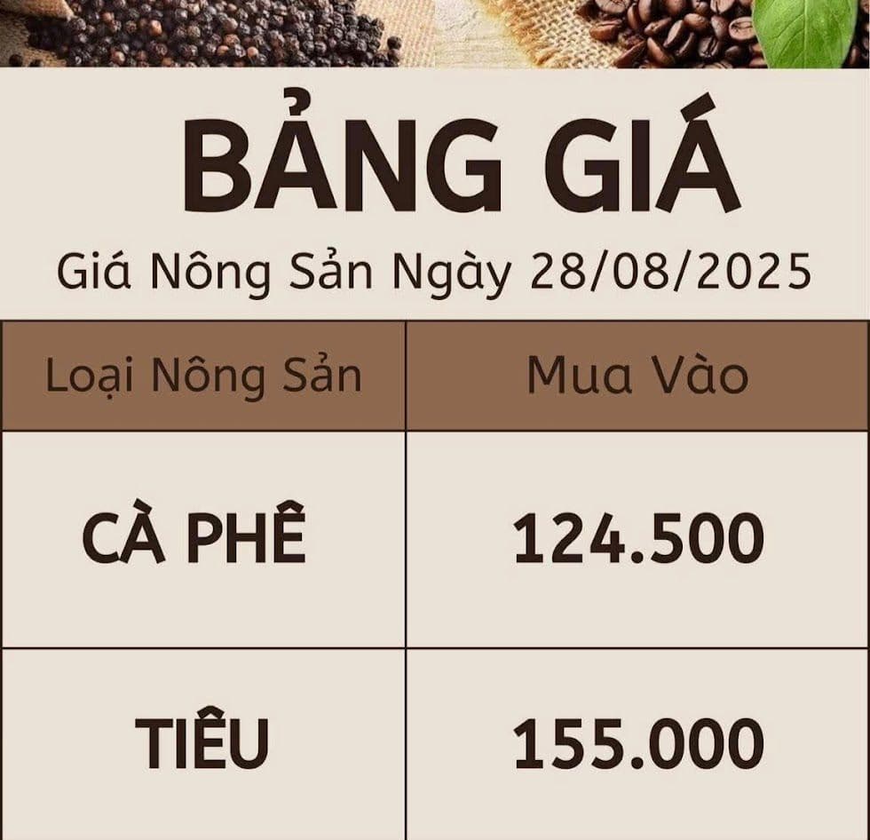 Tableau des prix du poivre et du café au Vietnam le 28 août 2025, illustrant la hausse des cours.