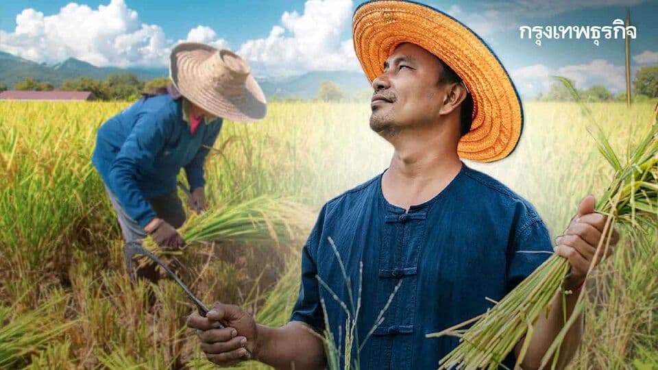 Thai rice farmers in a paddy field, reflecting on the delayed government support.