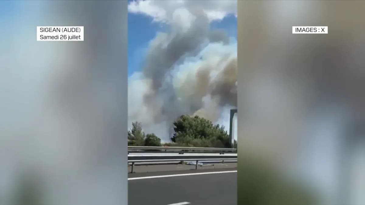 Thick smoke rises from a wildfire near the A9 motorway in Sigean, Aude, on July 26, 2025.