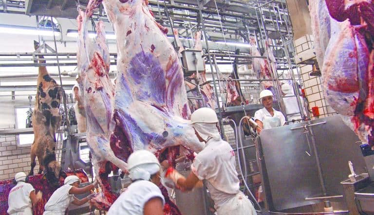 Trabajadores en una planta procesadora de carne, ilustrando el impacto de los aranceles en la industria cárnica brasileña.