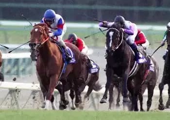 Two racehorses and jockeys competing closely on a turf track during a European Group 1 race, showcasing Karandagan's dominant European streak.