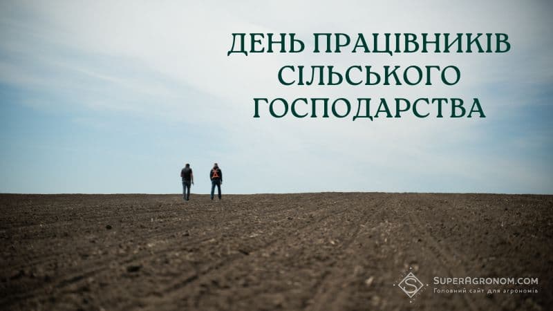 Two Ukrainian farmers walk across a vast, tilled field under a cloudy sky, symbolizing their dedication on Agricultural Worker's Day amidst wartime challenges.