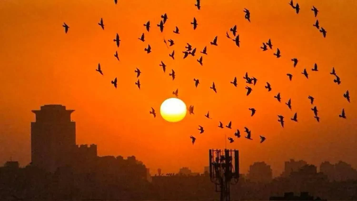Un ciel orange intense au-dessus d'une ville égyptienne au lever ou coucher du soleil, avec des oiseaux en vol, symbolisant la chaleur extrême et ses effets.