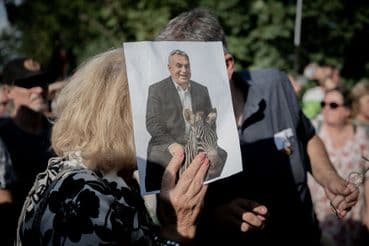 Un manifestant brandissant une image satirique de Viktor Orbán avec un zèbre, en référence aux animaux exotiques du domaine.