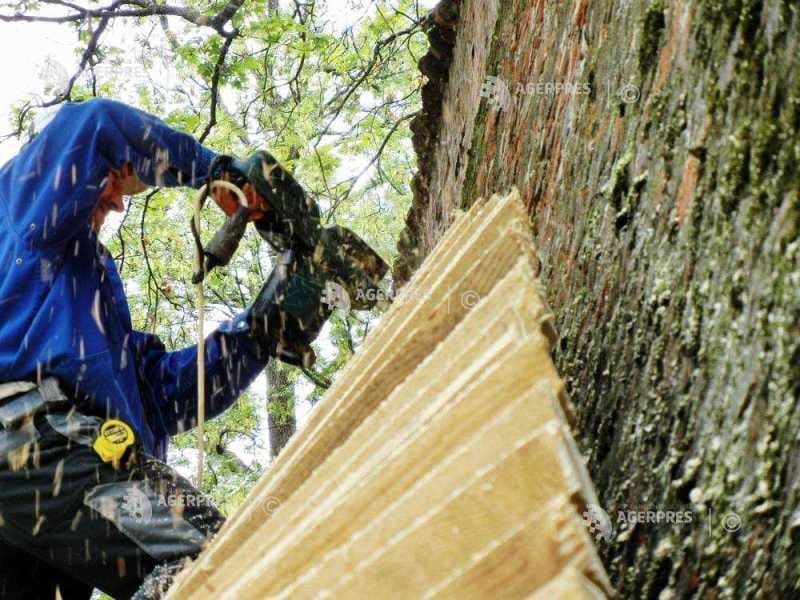 Un ouvrier travaillant sur la façade d'un bâtiment, symbolisant les emplois et la transformation concrète des communautés rurales en Roumanie.