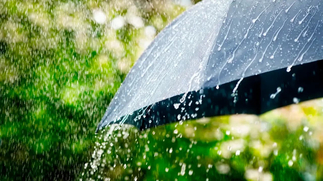 Un parapluie sous la pluie, illustrant les précipitations qui apportent un répit après la canicule à Almaty.