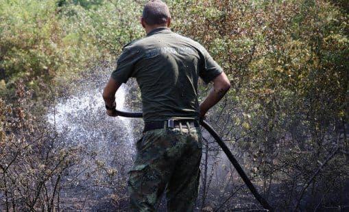 Un pompier arrosant les braises d'un feu de forêt, symbolisant la lutte acharnée et l'aide transfrontalière près de Lesovo.