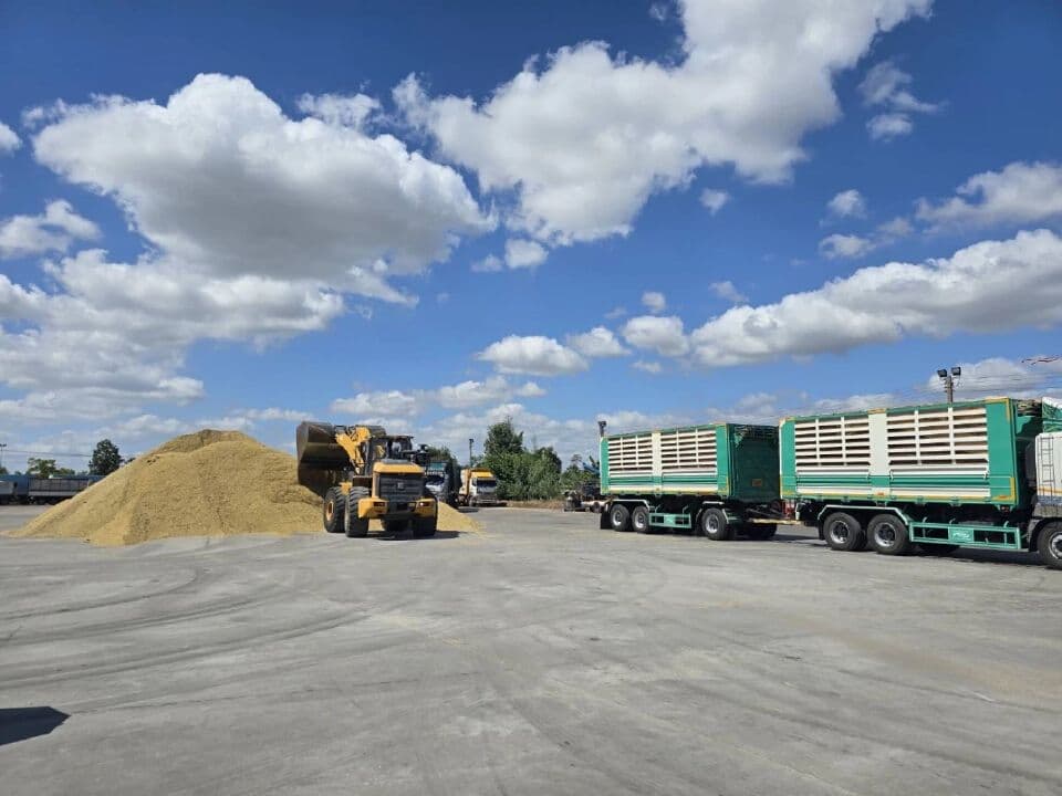 Un site de stockage de riz paddy avec des machines et des camions, symbolisant les impératifs économiques de l'industrie rizicole thaïlandaise.