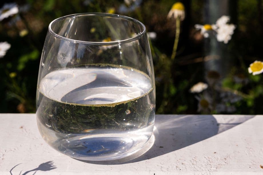 Un verre d'eau montrant une couche verte de cyanobactéries flottant à la surface, illustrant le test de détection.