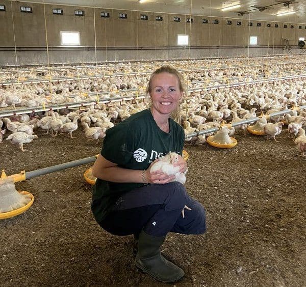 Une éleveuse de volailles tenant un poulet dans un grand poulailler rempli de poulets à croissance rapide.