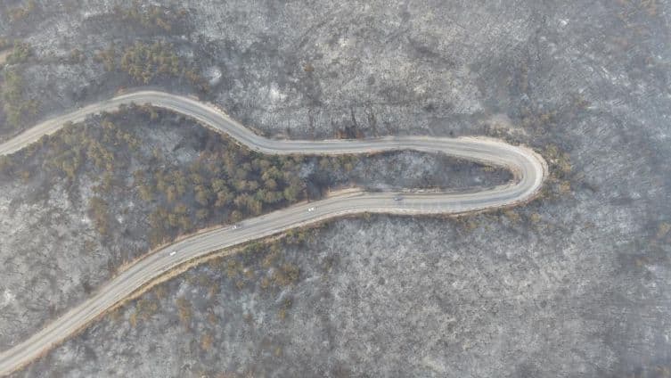 Vue aérienne par drone d'une route sinueuse traversant une forêt de pins calcinée après l'incendie à Bursa.