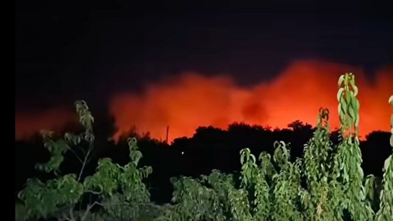 Vue nocturne d'un immense incendie de forêt près de Lesovo, avec un ciel rougeoyant et des flammes menaçantes.