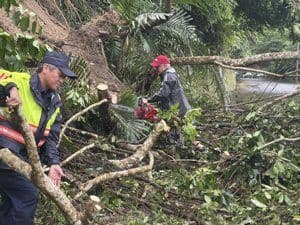 Workers clearing fallen trees and debris from a road after heavy rainfall, demonstrating immediate response and recovery efforts in Taichung.